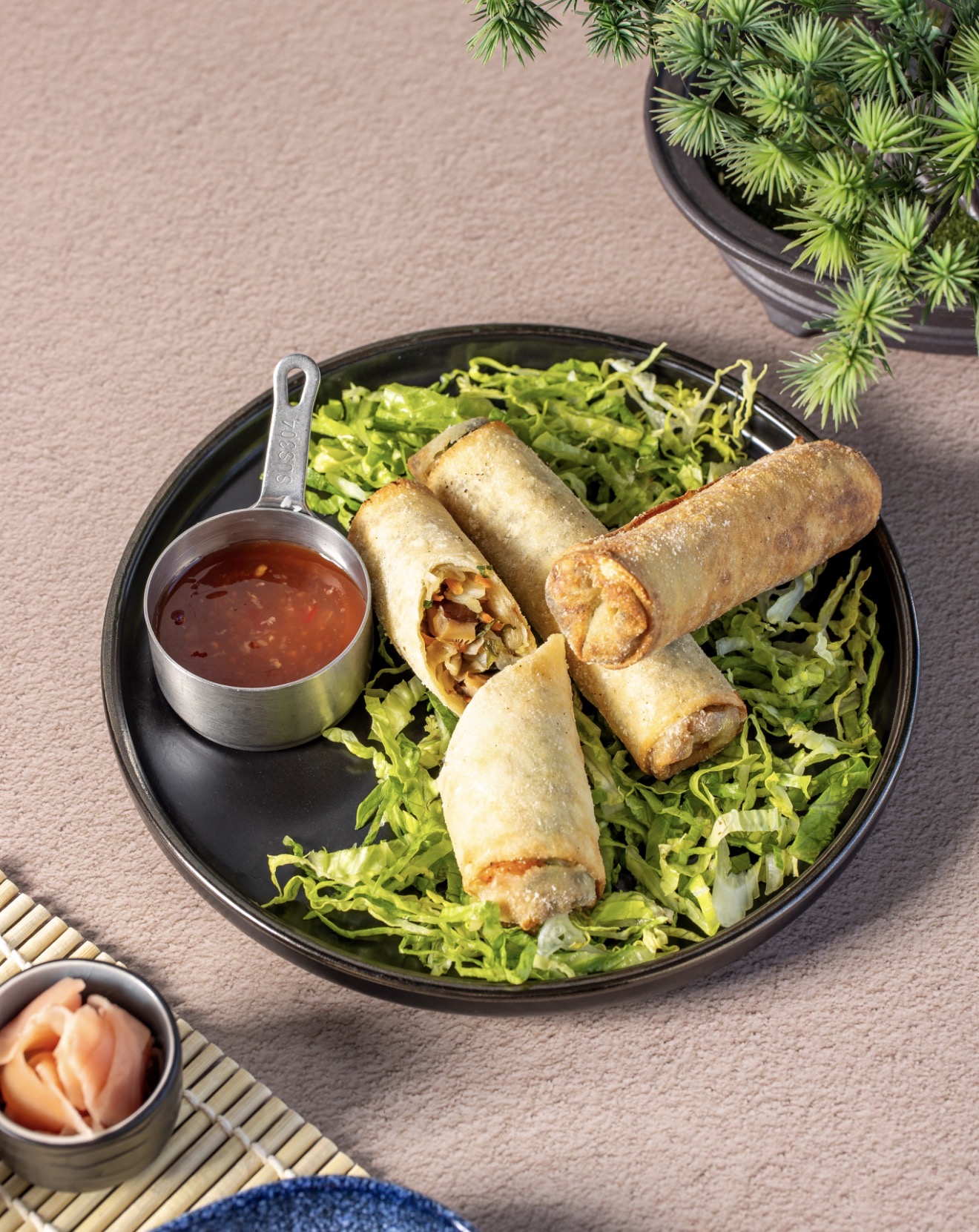 Japanese Spring Roll